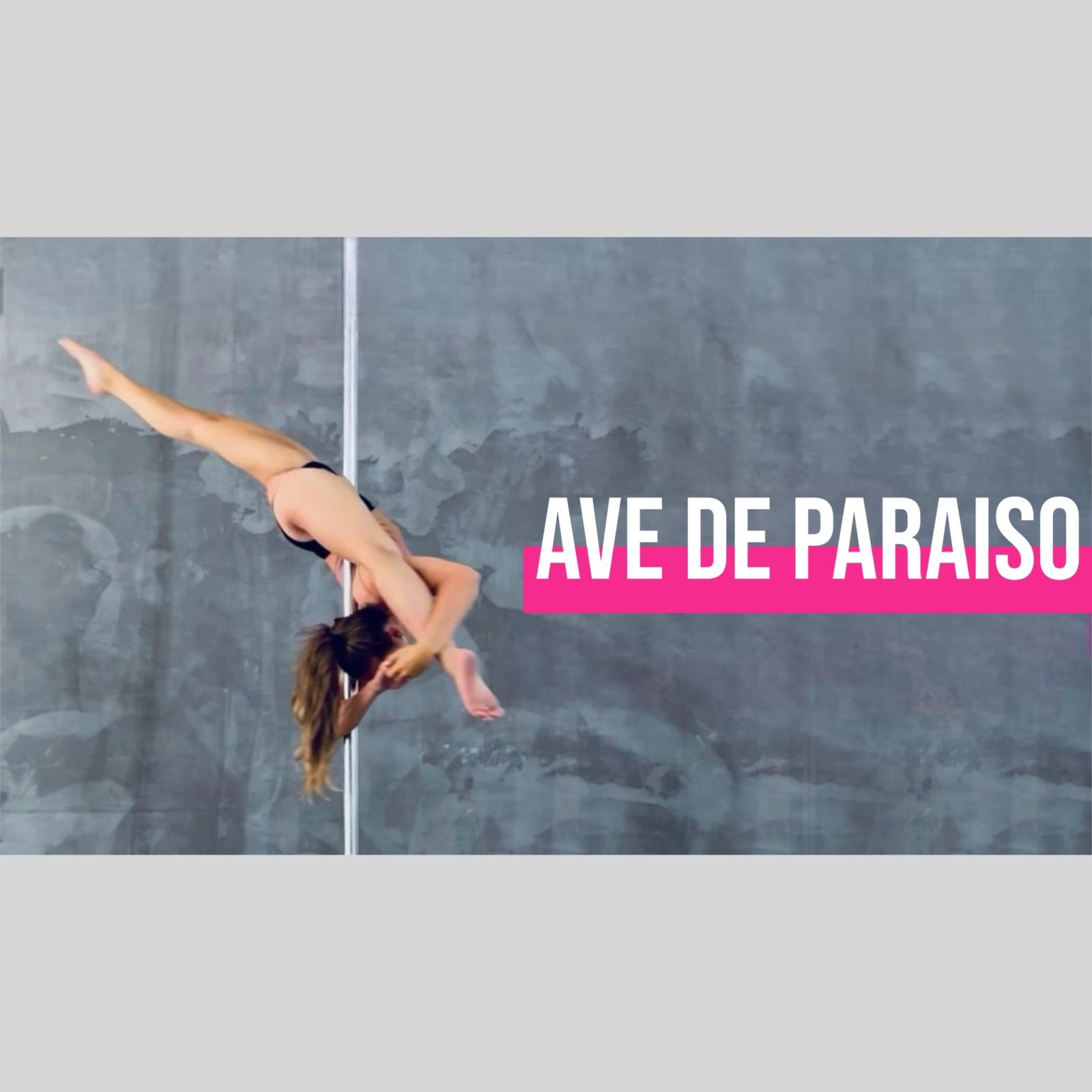 AVE DE PARAISO